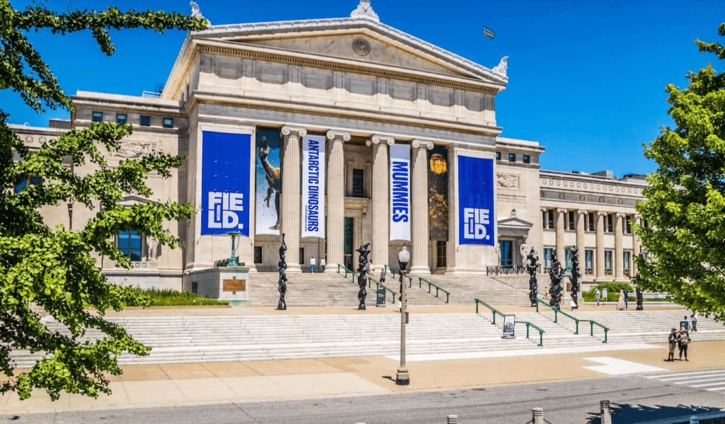 Take in some natural history at the Field Museum